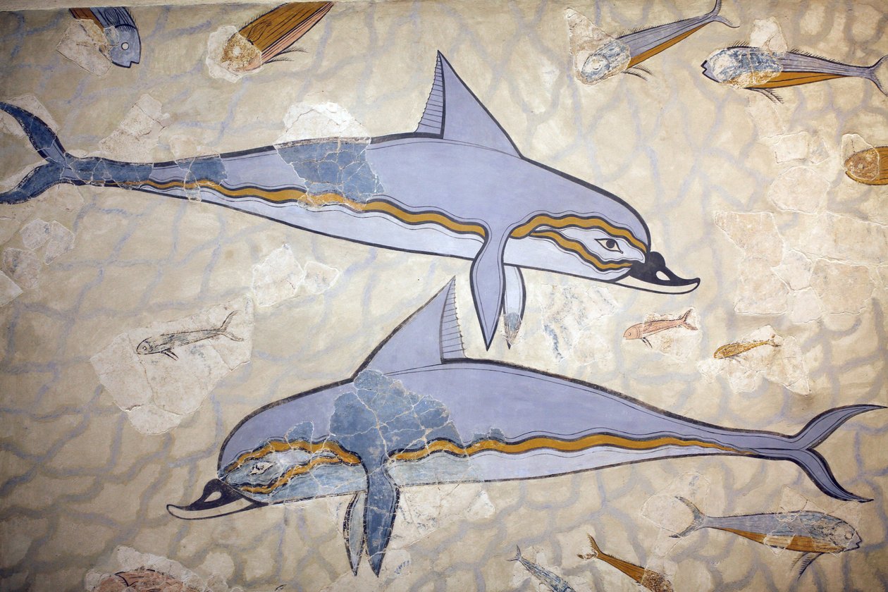 Minoisk kunst. "Delfinfresken". Fresken dekorerte veggen eller gulvet i en hall over dronningens megaron. Freske rekonstruert fra fragmenter av det originale verket funnet i Knossos (1600 - 1450 f.Kr. av Unknown