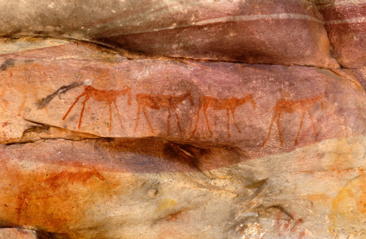 San (Bushmen) bergmalerier, Cedarburg, Western Cape av Unknown