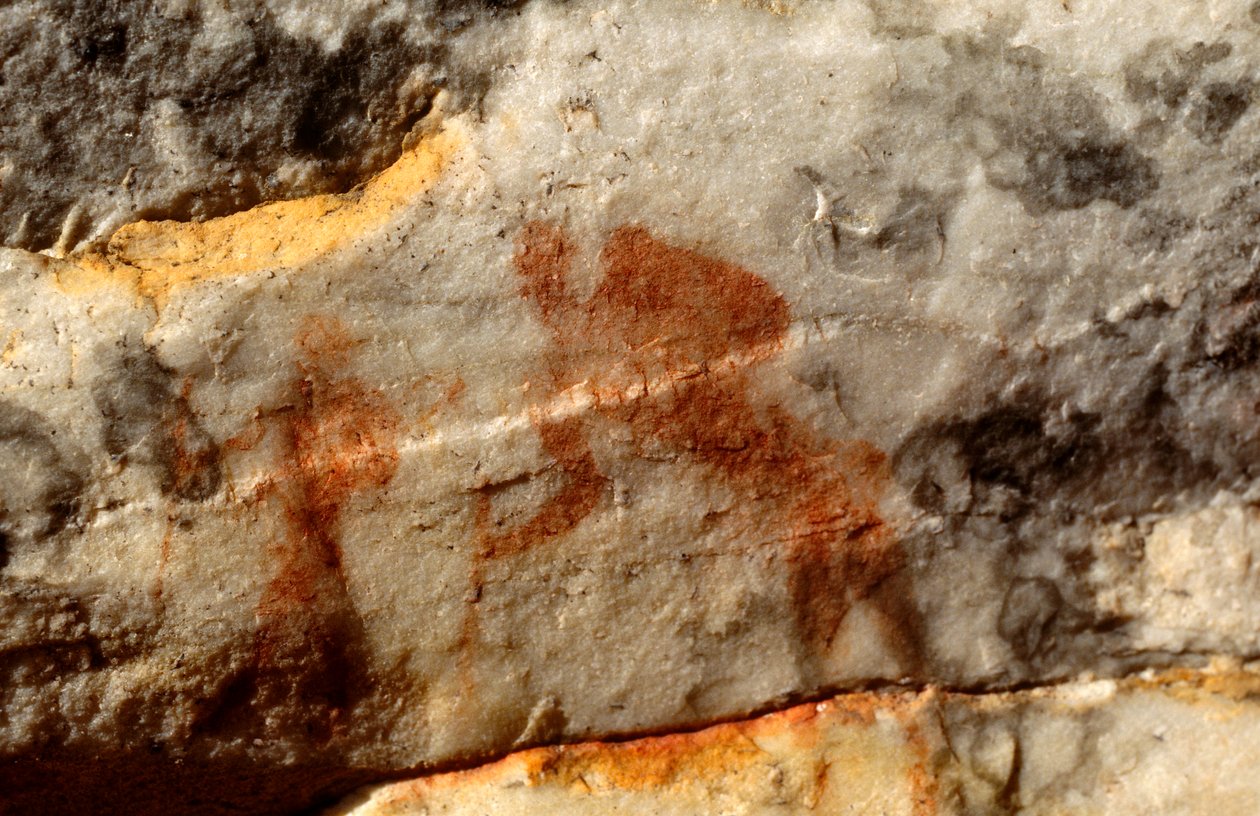 San (Bushmen) bergmalerier, Cedarburg, Western Cape av Unknown