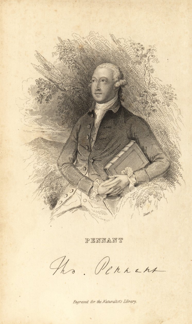 Thomas Pennant , walisisk naturforsker, forfatter og antikvar, 1726-1798 av Unknown
