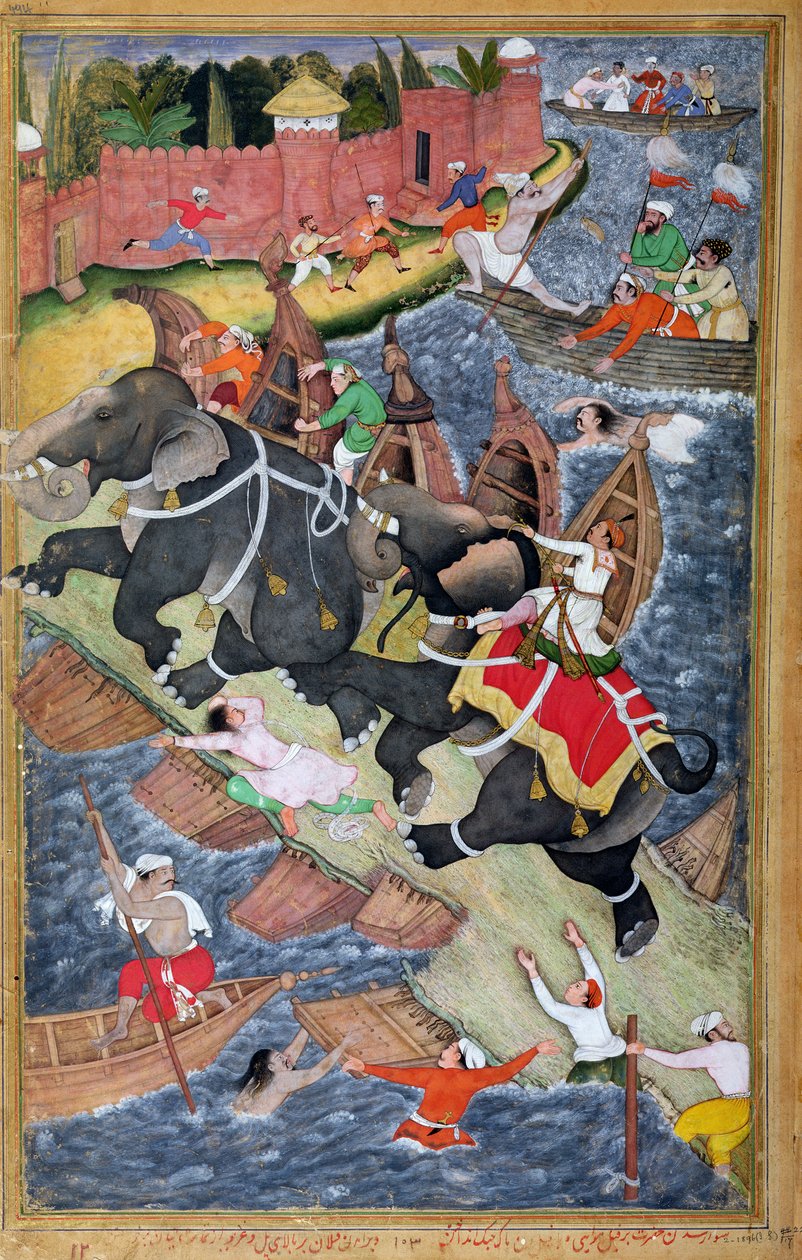 Akbar temmer Savage Elephant, Hawa