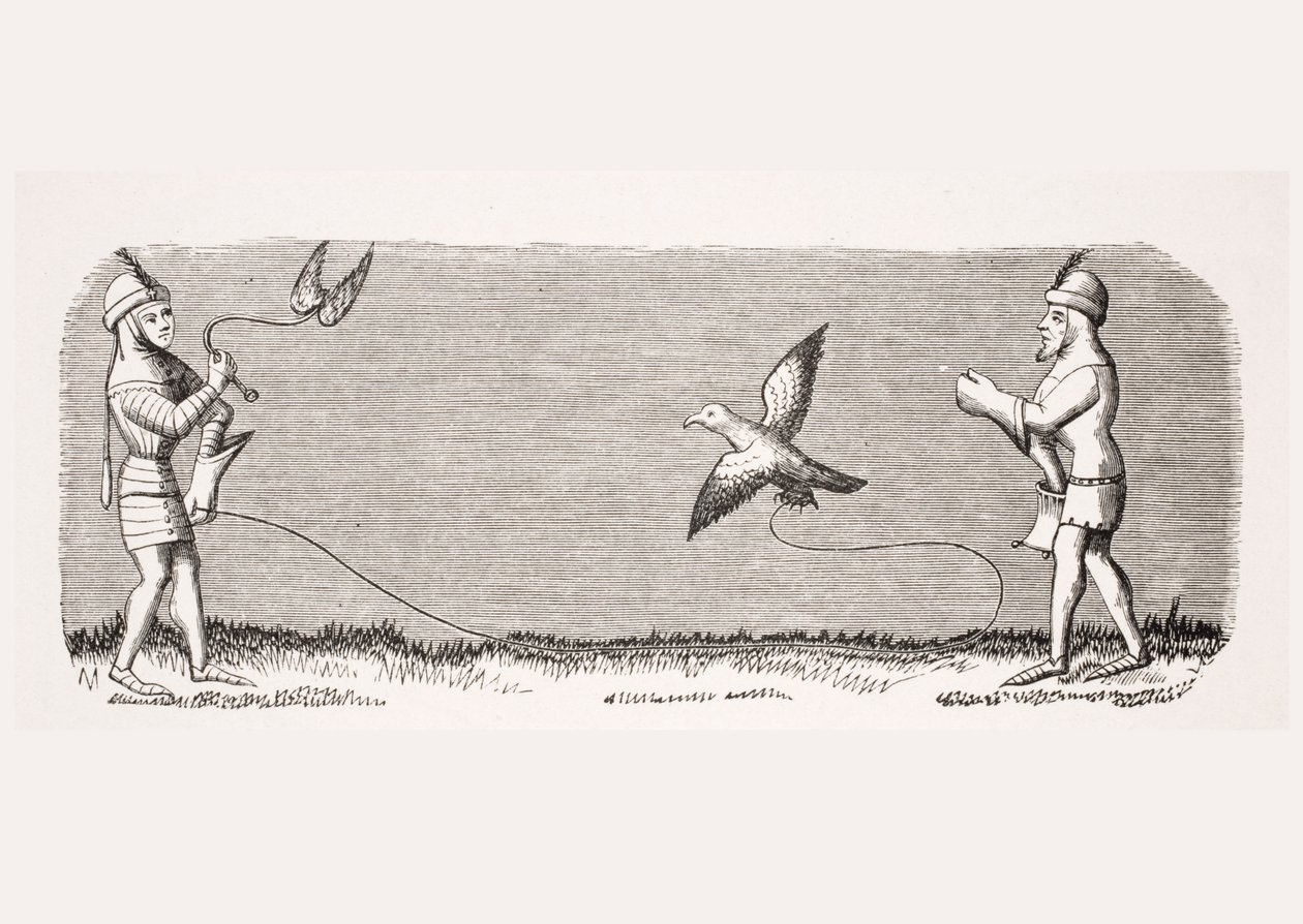 Hvordan trene en ny falk, reproduksjon av en miniatyr i manuskriptet "Livre de Roy du Modus" fra 1300-tallet av Henri de Ferrieres, fra puben "Le Moyen Age et La Renaissance" av Paul Lacroix (1806-84) av French School