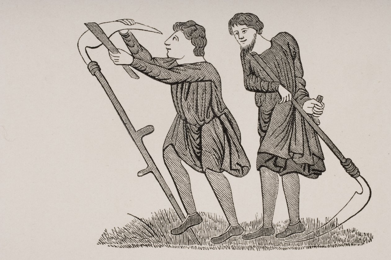 Serfs Laboring in the Fields with Scythes, etter en miniatyr i et manuskript fra 1100-tallet, fra 