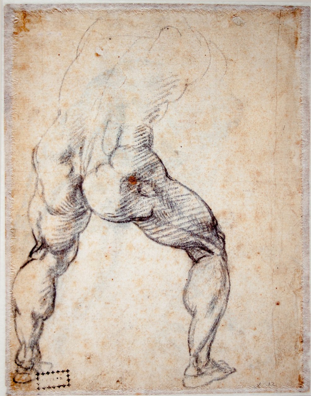 Menn bakfra av Michelangelo Buonarroti