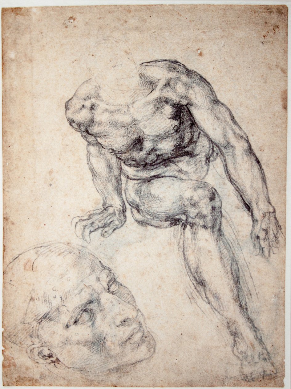 Studie av en mannlig naken, separat studie av hodet av Michelangelo Buonarroti