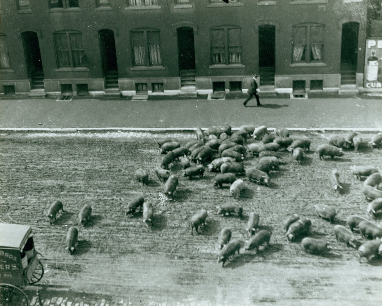Griser løsner i gaten ved Thirteenth og Market Street av Unknown