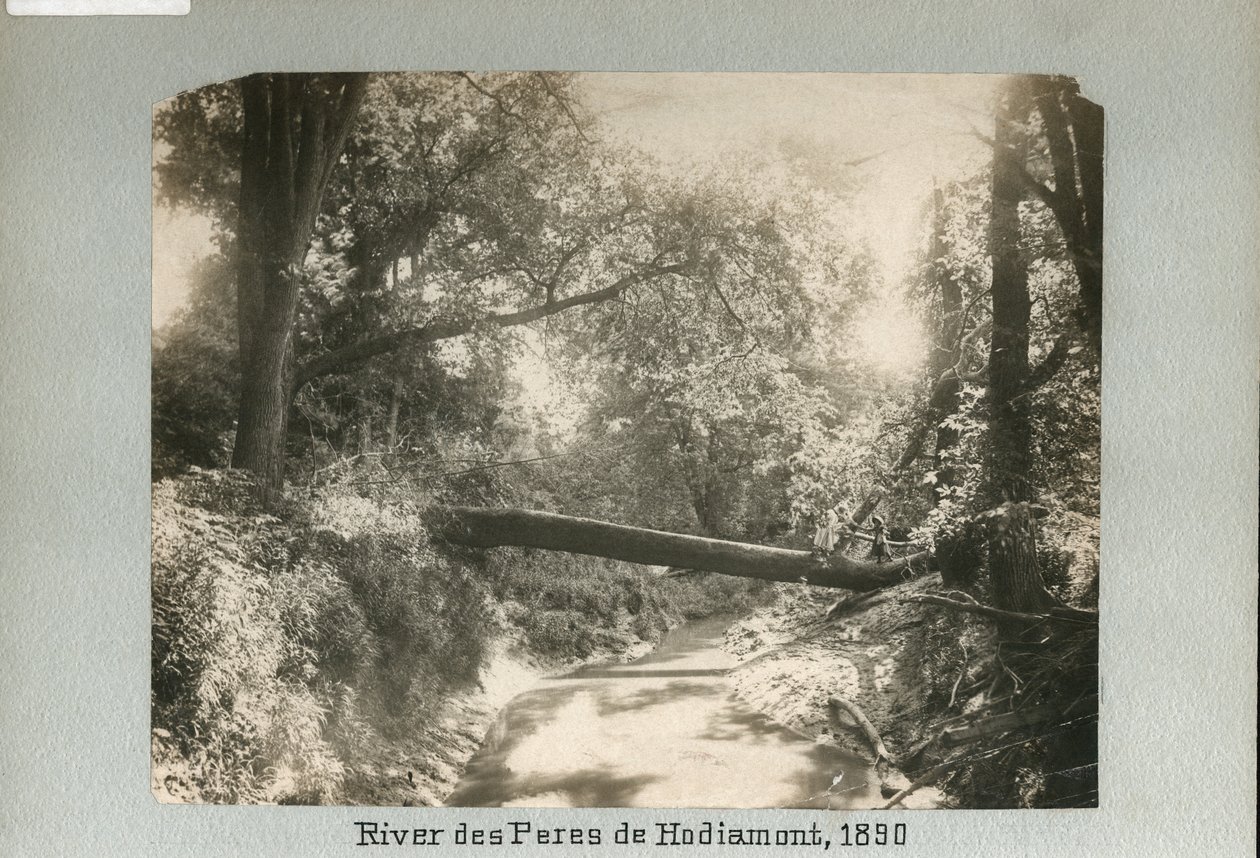 To barn går over et falt tre som strekker seg over en liten elv i skogen av Unknown
