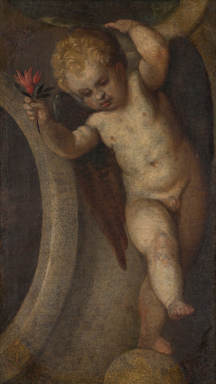 Putto med en rød blomst, ca. 1548-88 (olje på lerret) av Veronese