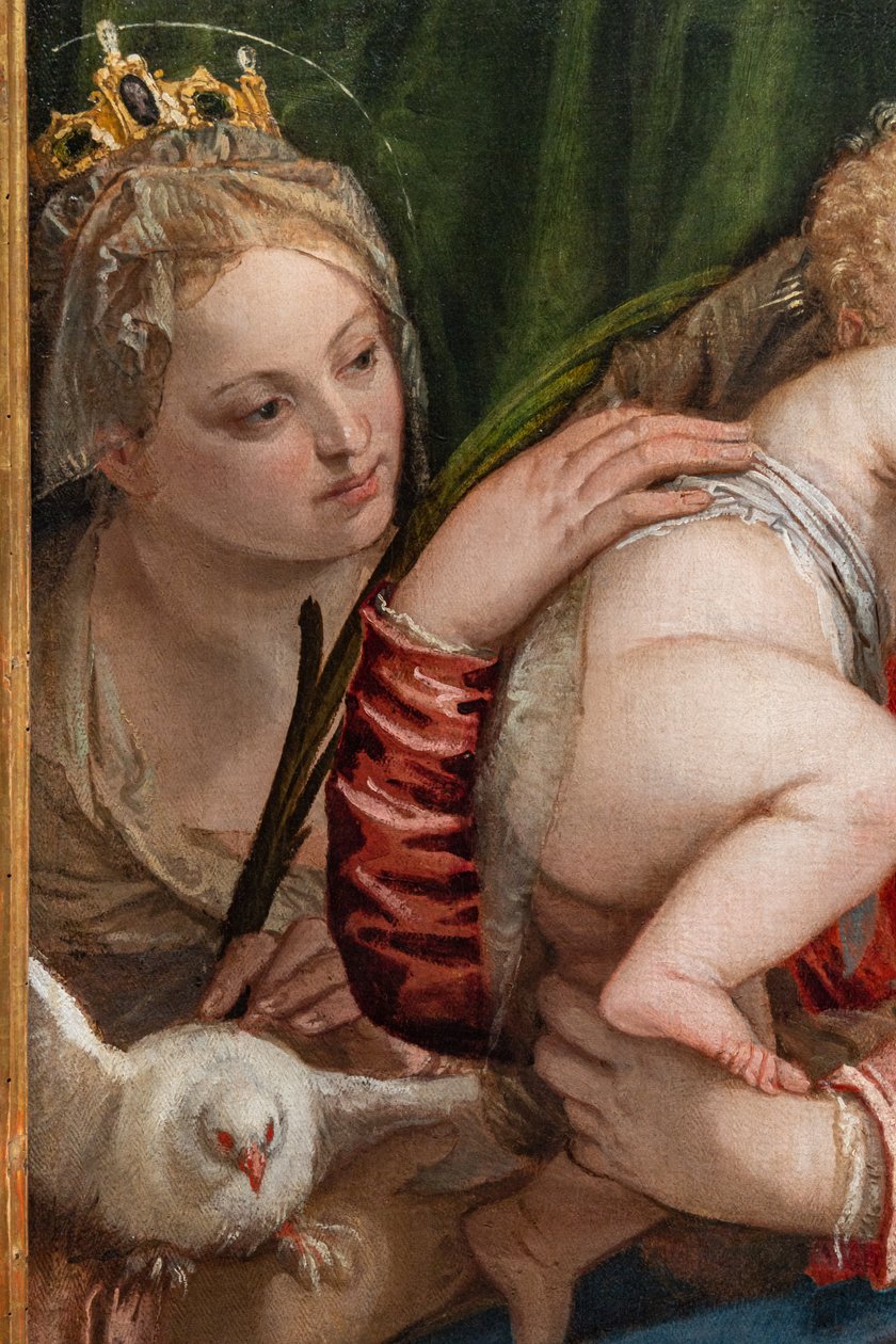 Madonna og Jesusbarnet mellom S. Catherine av Alessandria og Peter, detalj av (1528 88) Veronese