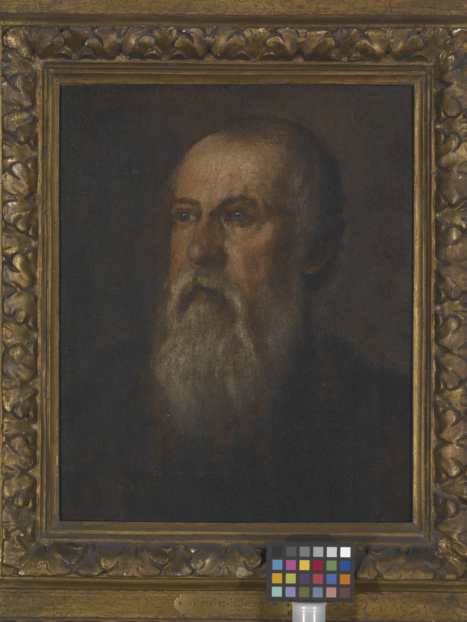 Portrett av en skjegget mann (olje på lerret montert på bord) av (1528 88) Veronese