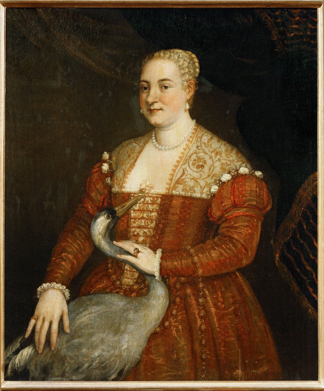 Portrett av en dame med hegre (maleri på lerret) av (1528-88) Veronese