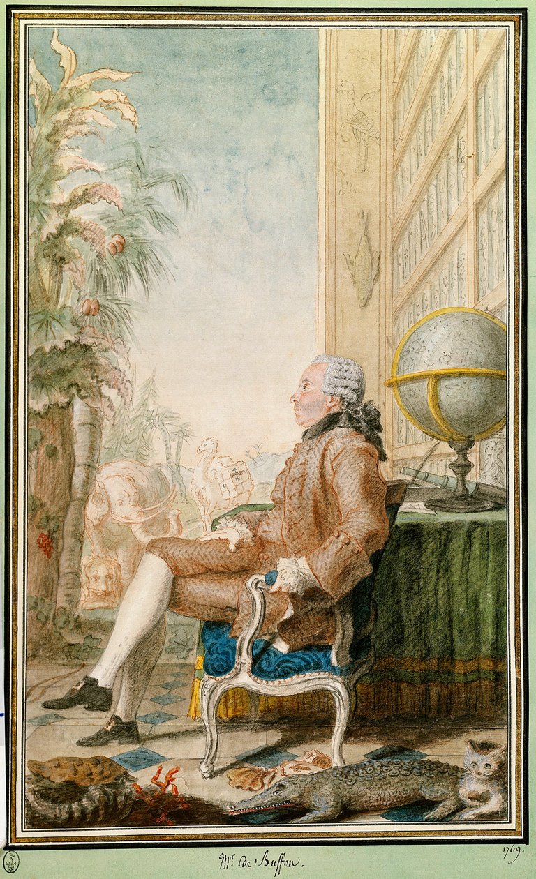 Portrett av Georges-Louis Leclerc, greve av Buffon (1707-1788), naturforsker, intendant for Jardin du Roi. Akvarell av Louis Carrogis Carmontelle (1717-1806). Chantilly. Conde-museet av Carmontelle