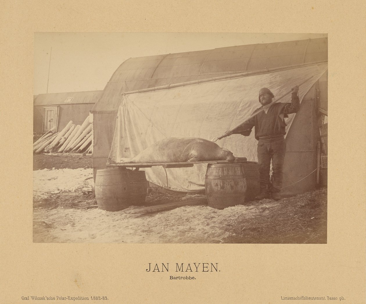 Jan Mayen, Bartrobe av (Linienschiffs Lieutenant) Richard Basso