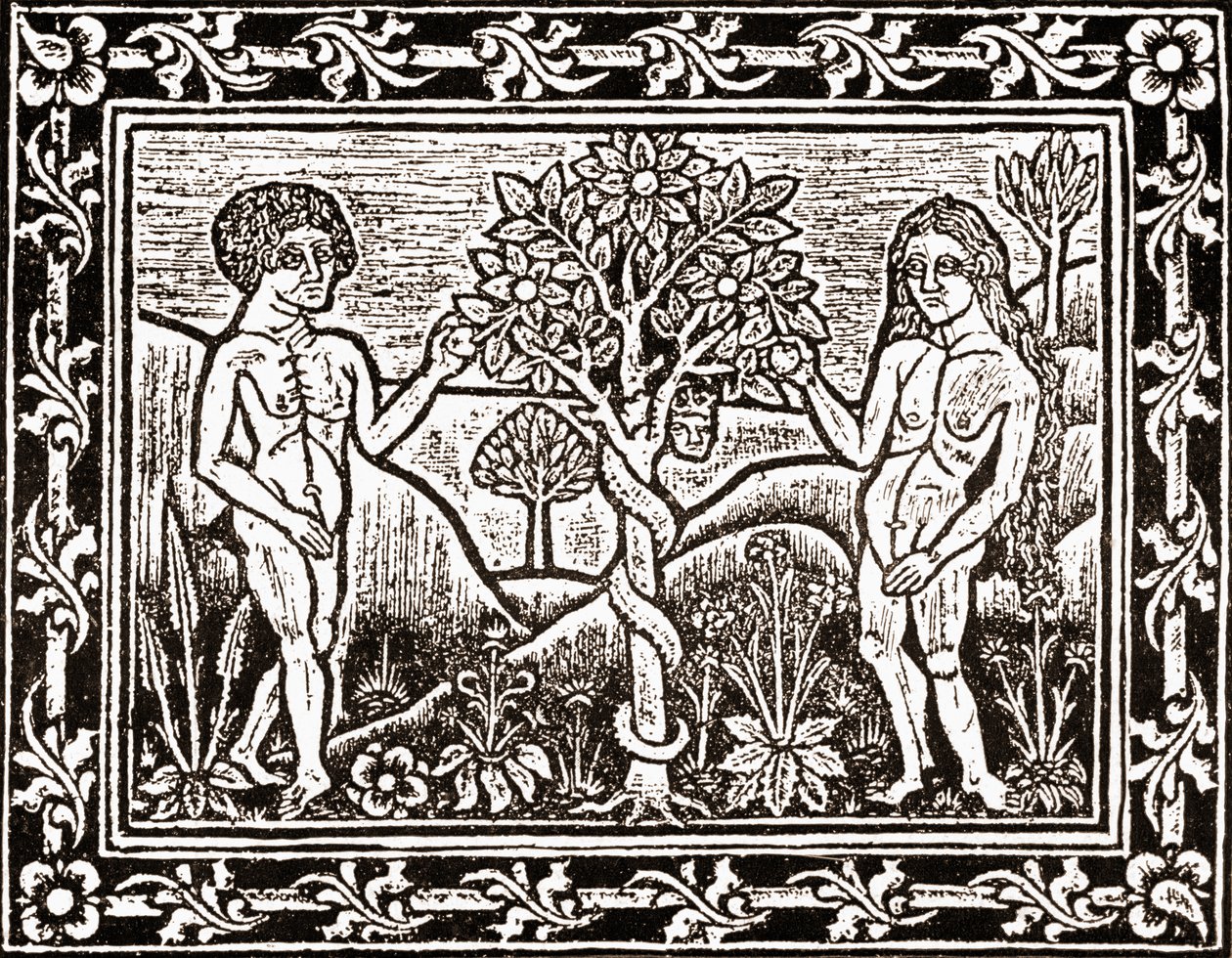 Treet som Adam spiste eplet fra, faksimile fra en meditasjonsbok, den første boken trykt i Albi, Languedoc, i 1481 av (after) French School