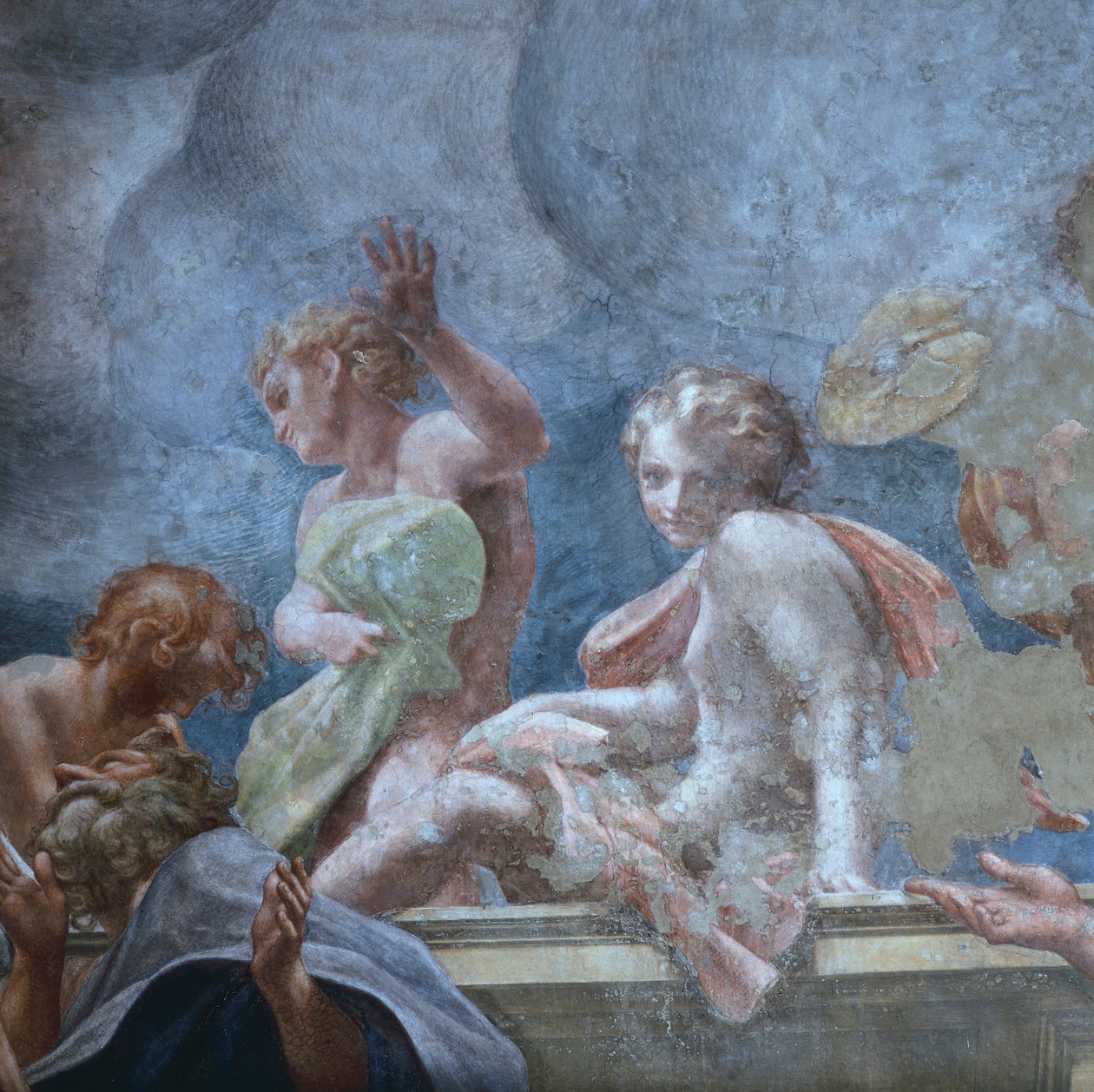 Adolescent, av Antonio Allegri Da Correggio (1489-1534), freskomaleri, Dome of Parma Cathedral, Italia av (c.1489 1534) Correggio