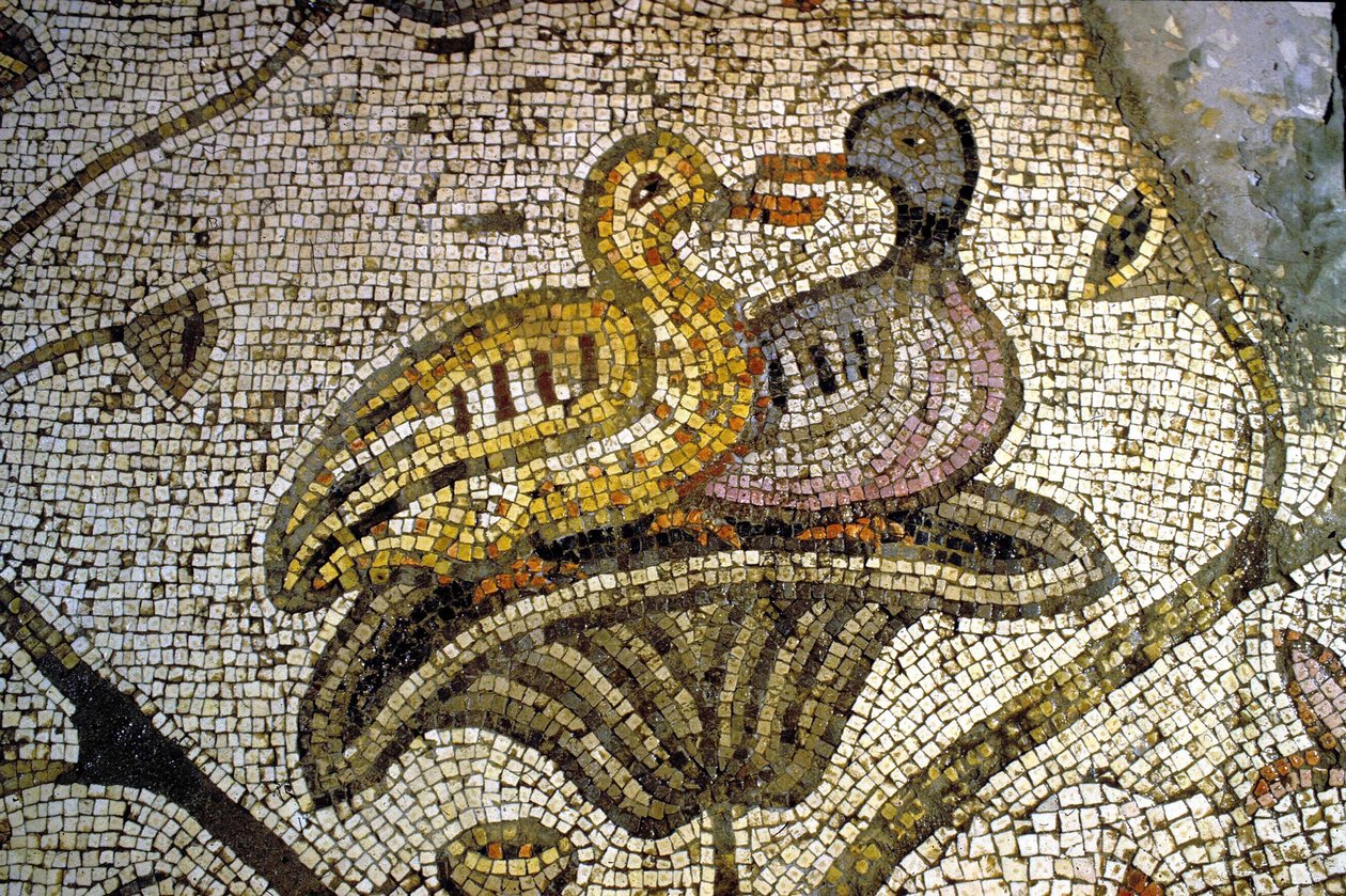 Detalj fra Tabgha-mosaikken av Unknown