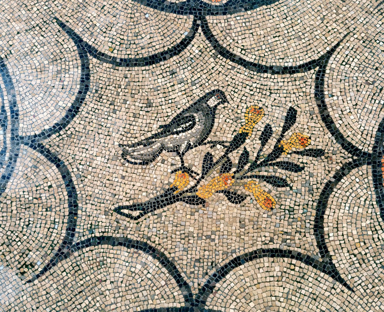 Detalj av gulvet i den tidlige kristne basilikaen i Aquileia, Udine av Unknown