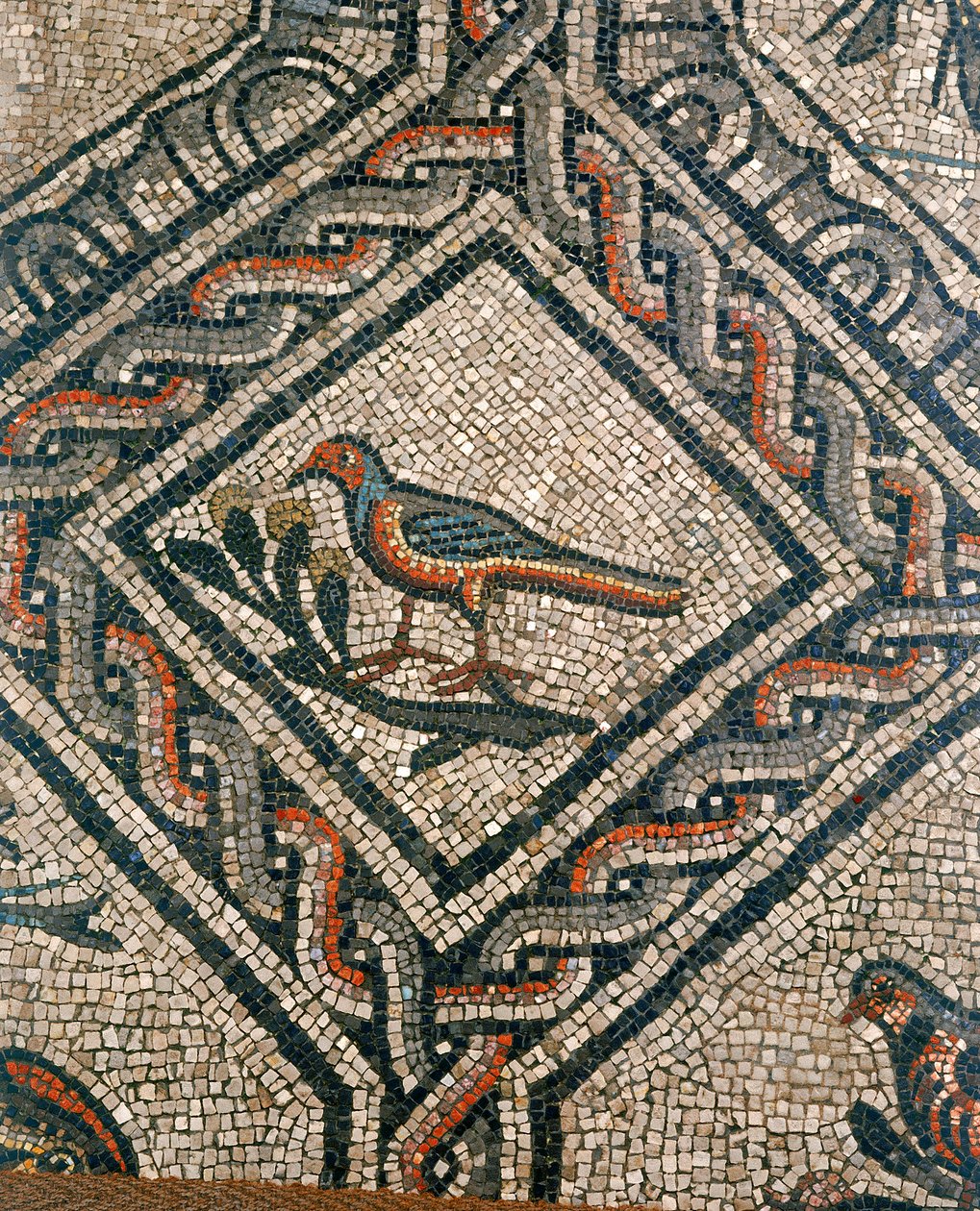 Detalj av gulvet i den tidlige kristne basilikaen i Aquileia, Udine av Unknown