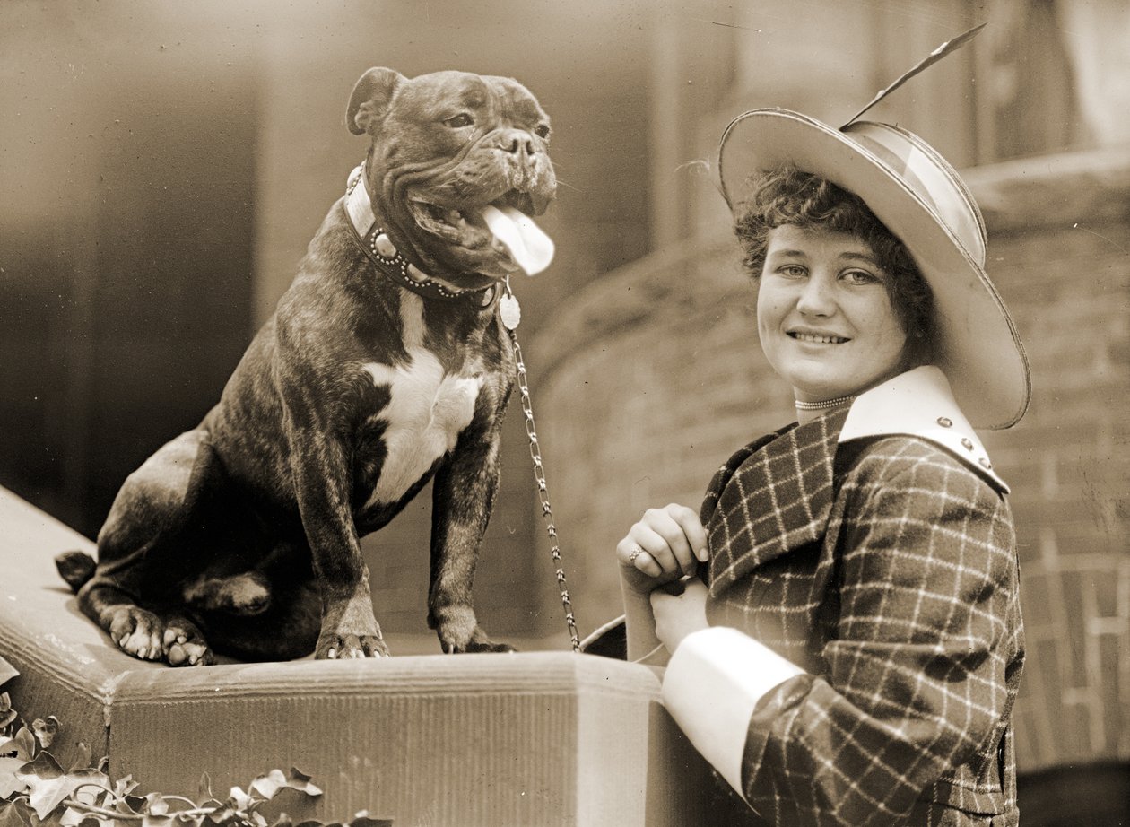 Ung jente og hennes Bull Terrier ca. 1915 av Unknown