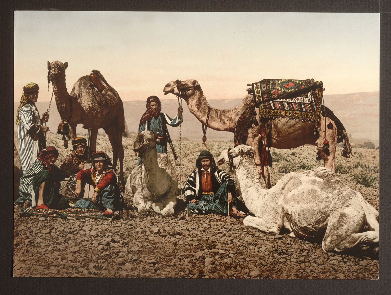 Kameltog i ørkenen hviler seg, pub. 1895 av American Photographer