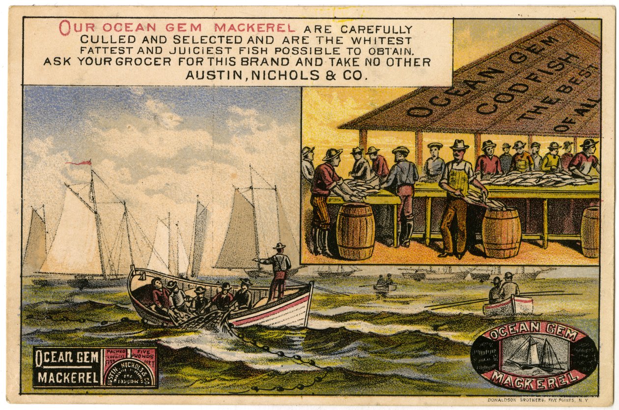 Austin, Nichols & Co. Ocean Gem Makrell, trade card recto., (farge litho [varekort]) av American School