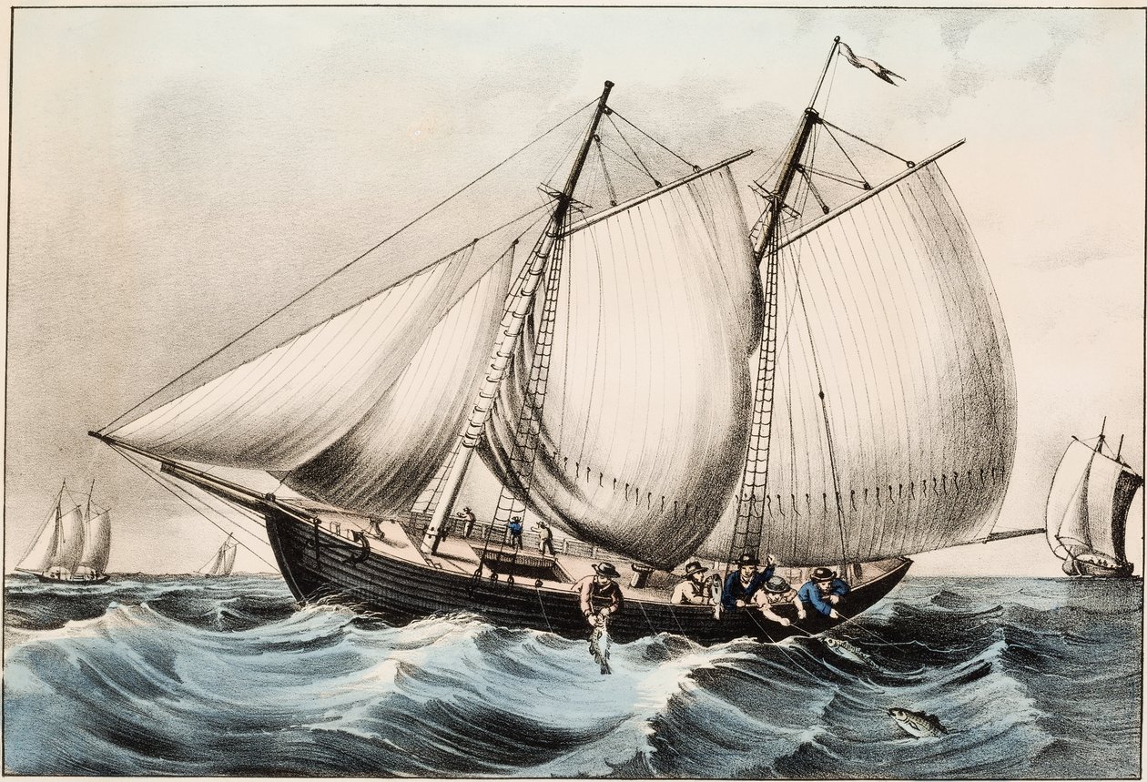 Torskefiske utenfor Newfoundland, pub. 1872 av American School