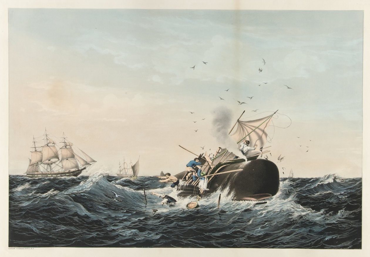 The Whale Fishery - The Sperm Whale ?In a Flurry?, pub. 1860 av American School