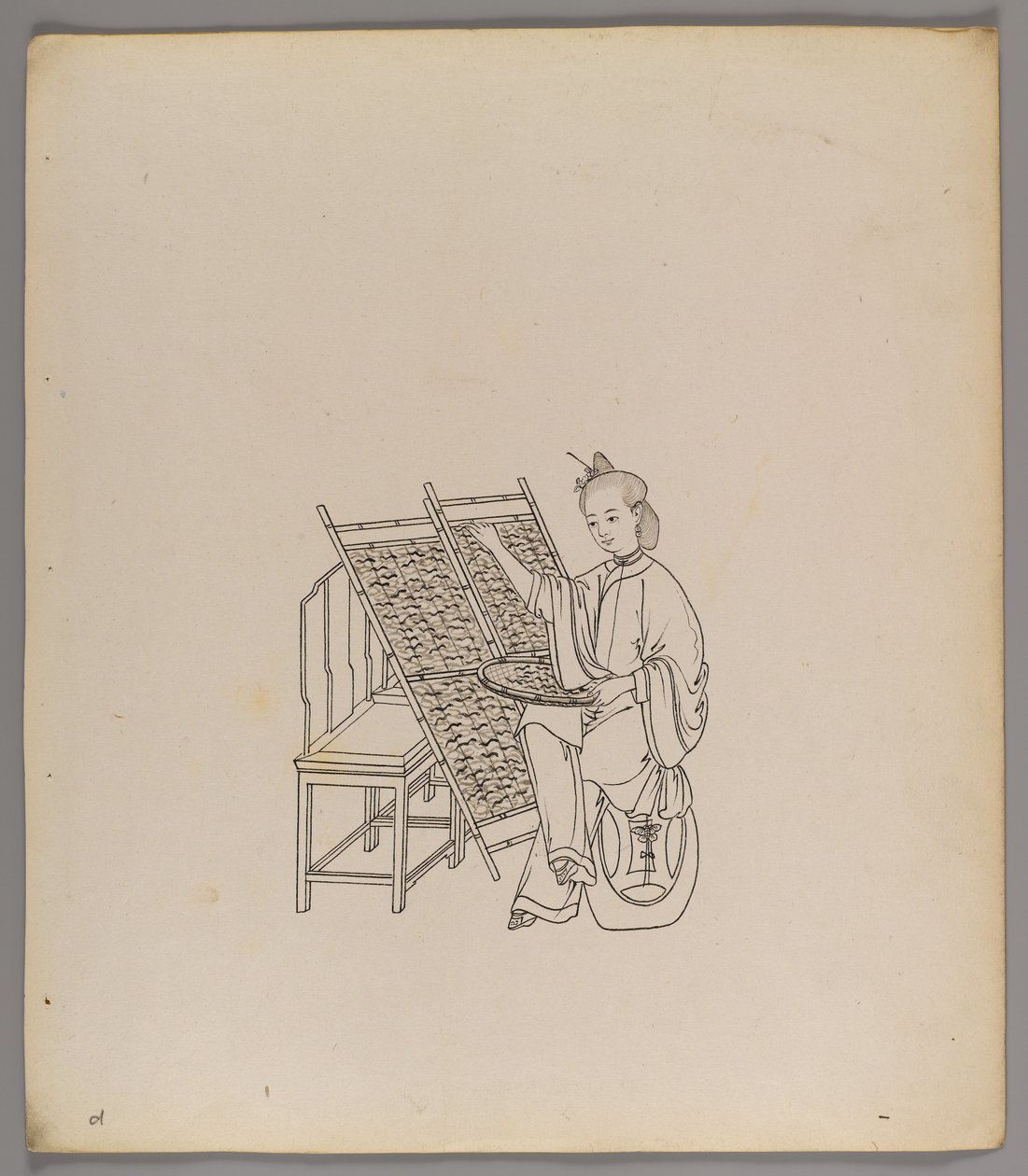 Album med separate blader: Silke Cultivation and Production (blekk på papir) (se også 499288-303) av Chinese School