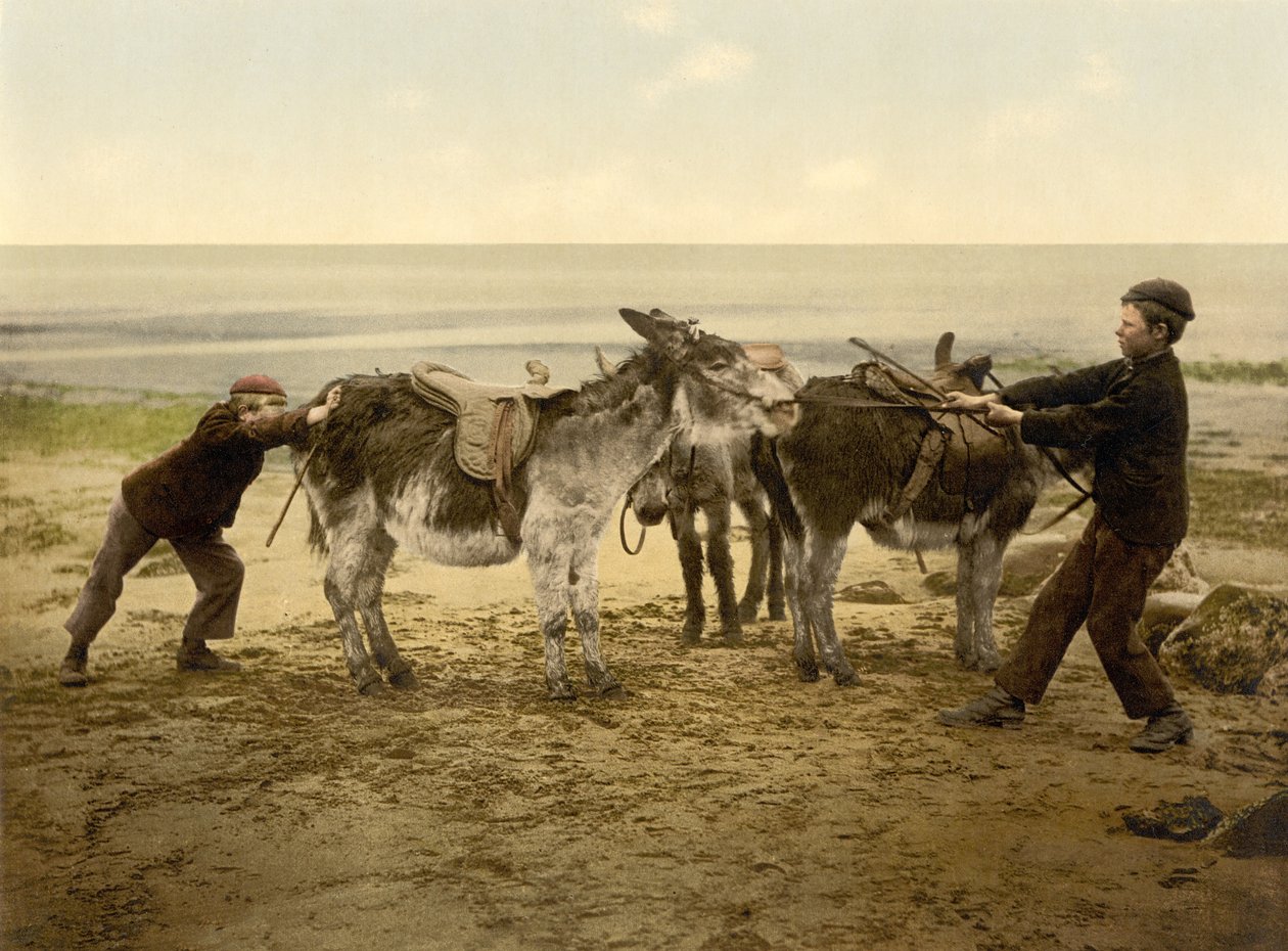 Esler på stranden, pub. ca. 1890–1900 (kromolitografi) av English Photographer