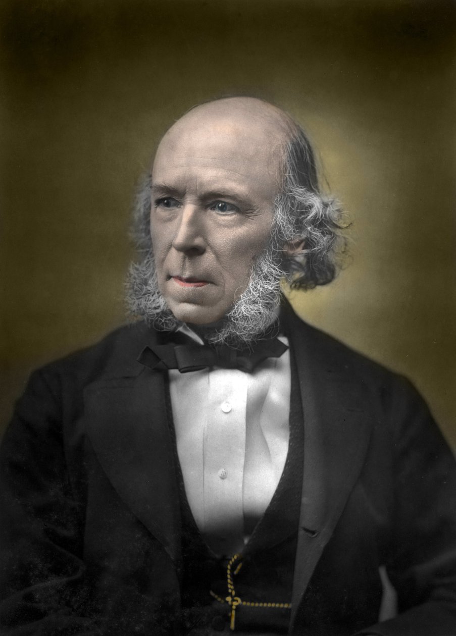 Portrett av Herbert Spencer av English School