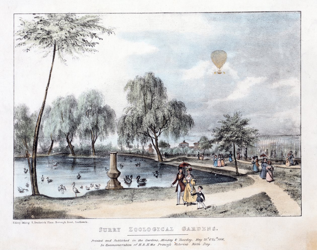 Surrey zoologiske hager. Pub. 1836 (håndfarget gravering) av English School
