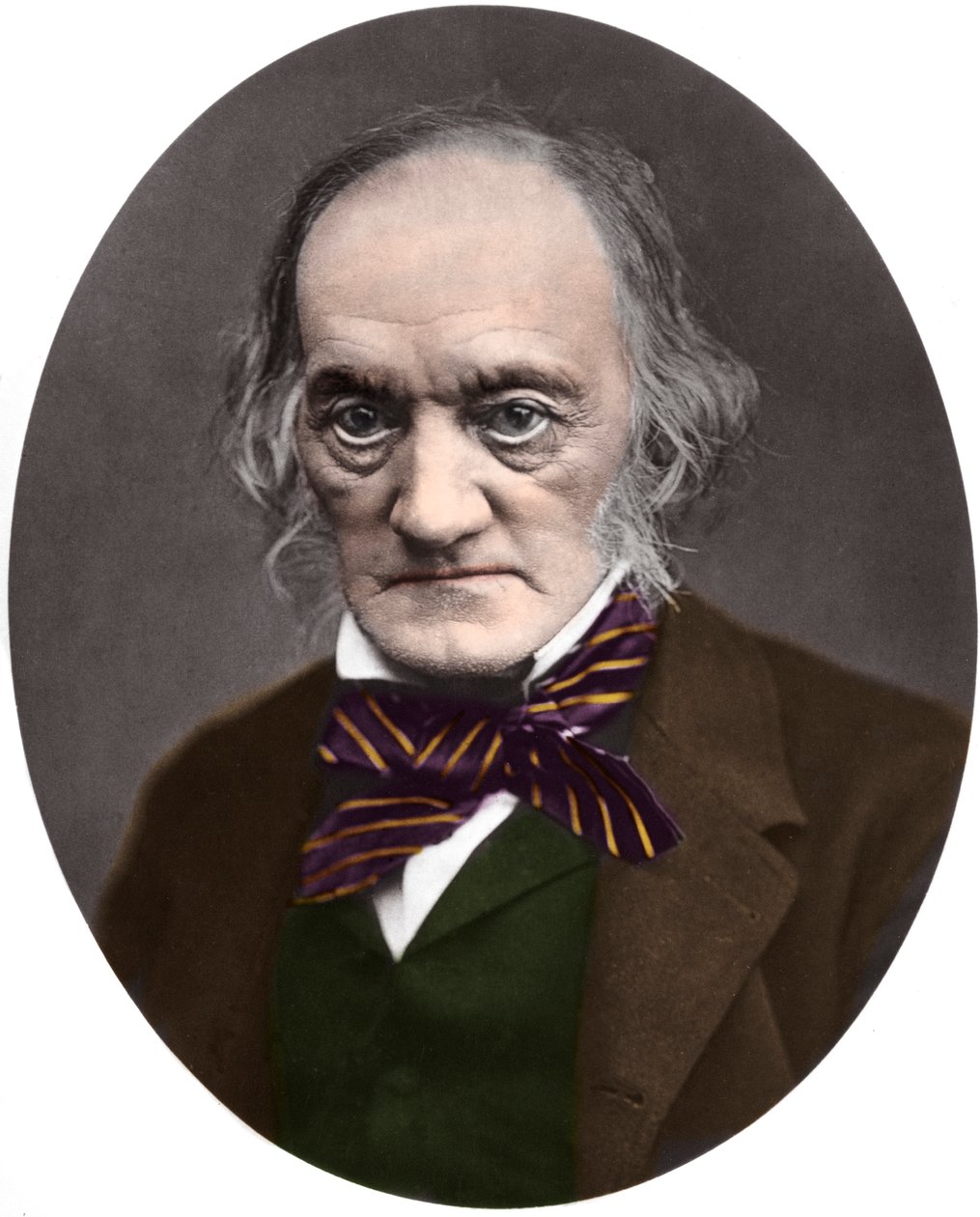 Portrett av den britiske paleontologen og anatomisten Sir Richard Owen (1804-1892) av French Photographer