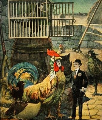 Chantecler, versspill av Edmond Rostand, cover av Le Petit Journal, 30. januar, 1910 av French School