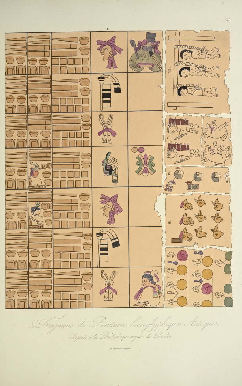 Fragmenter av aztekiske hieroglyfiske malerier fra det kongelige bibliotek i Berlin, illustrasjon fra Views of the Cordilleras and monuments of the urbefolkningen i Amerika av Alexander von Humboldt og Aime Bon av French School