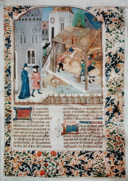 Ms 5064 fol.35r Threshing, fra Livre des Prouffitz Champestres av Pietro de Crescenzi (1230-132021) av French School