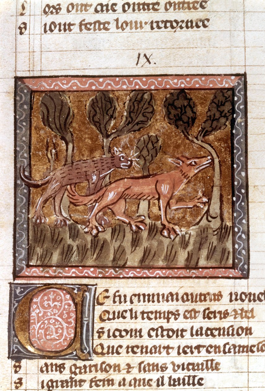 Reven og ulven, belysning fra manuskriptet med tittelen Roman de Renart (Revens roman), ca. 1200-tallet av French School