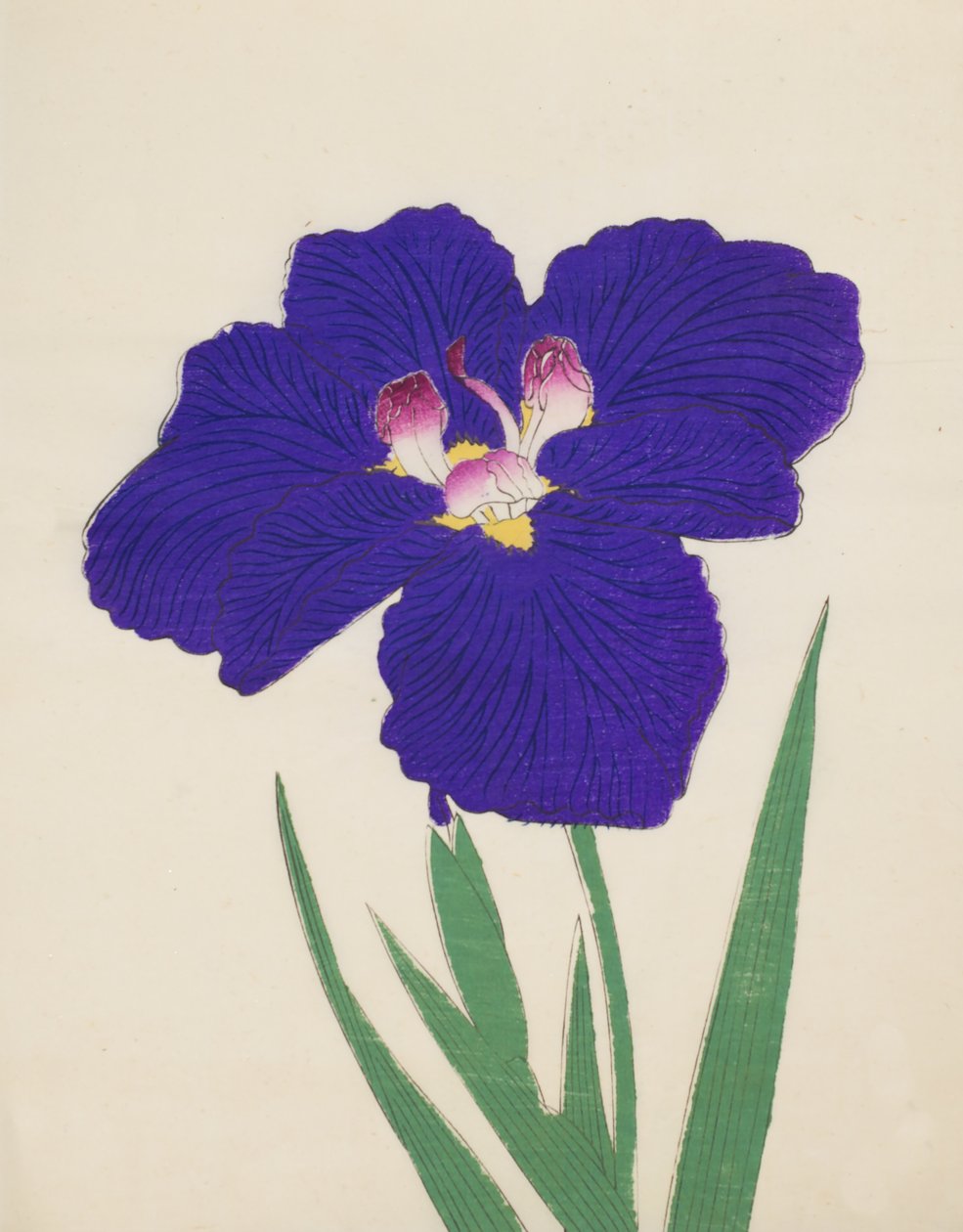 Shira-No-Tamoto, nr. 49, 1890 (farget treblokktrykk) av Japanese School