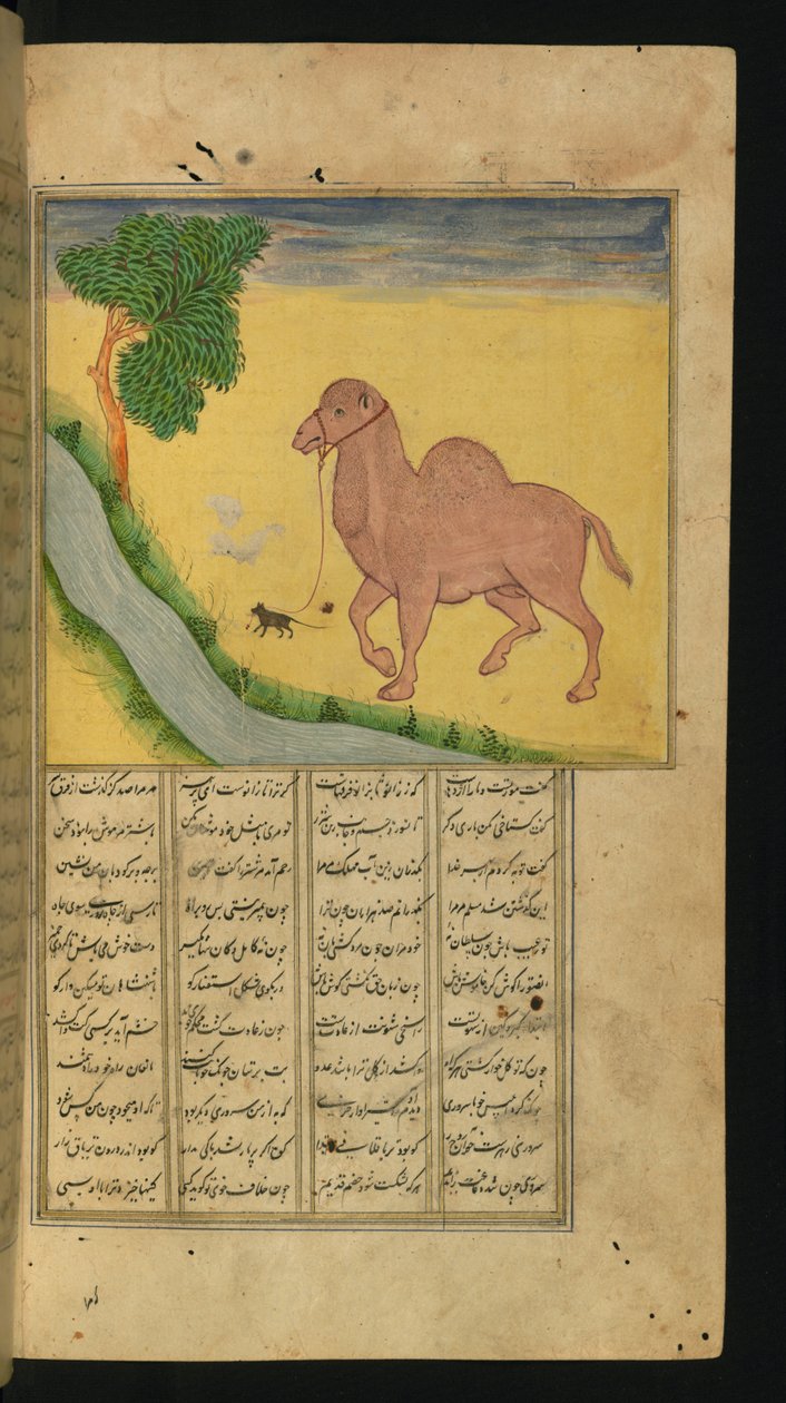 A Mouse, Clutching the Reins of a Camel, at a Stream of Water, illustrasjon fra A Collection of Poems, av Jalal al-Din Rumi, 1663 (blekk og pigmenter på papir) av Persian School