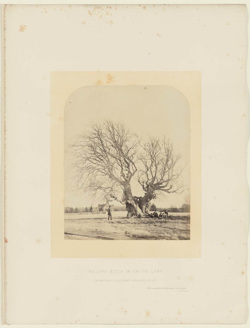  av 14th Earl of Caithness James Sinclair