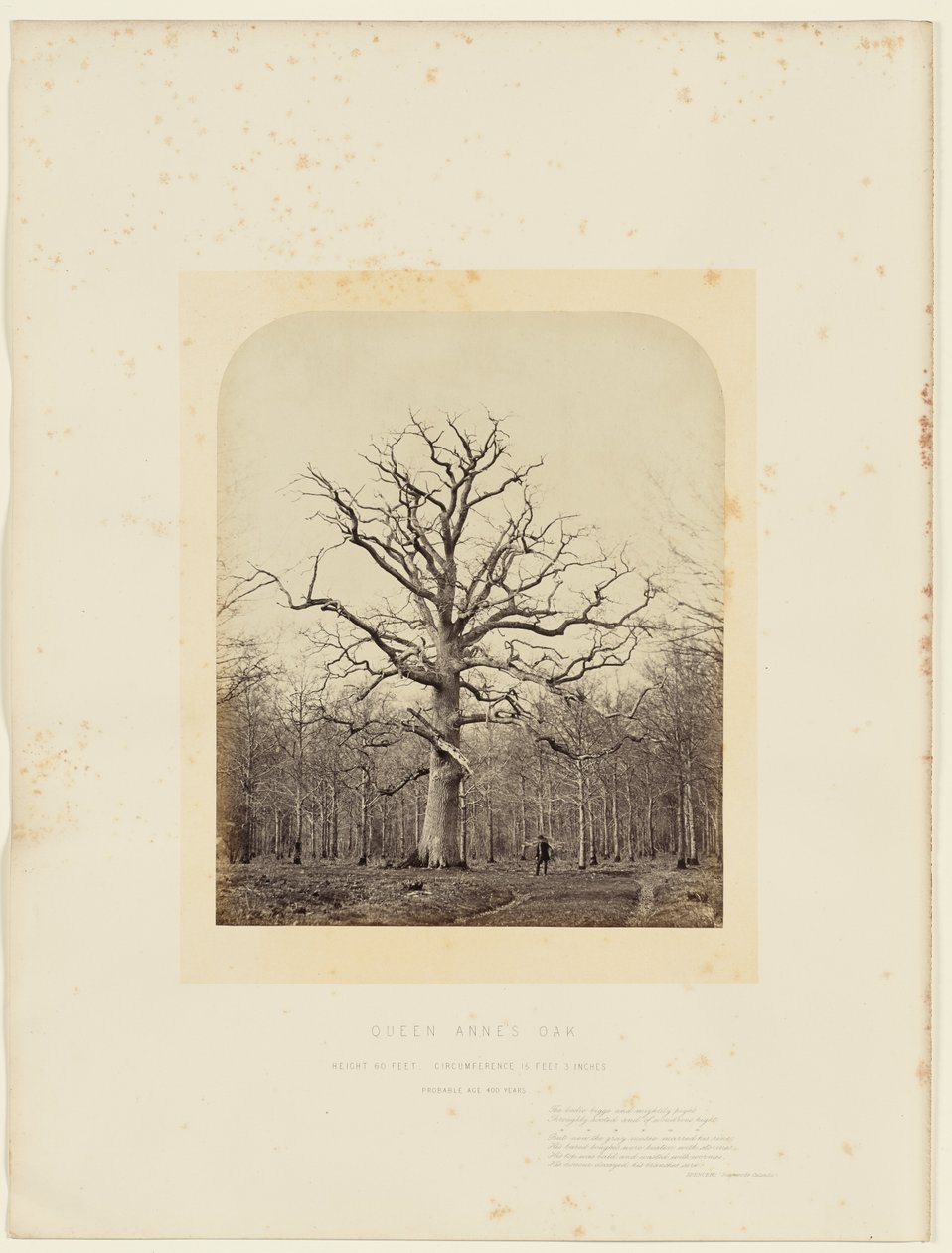 av 14th Earl of Caithness James Sinclair