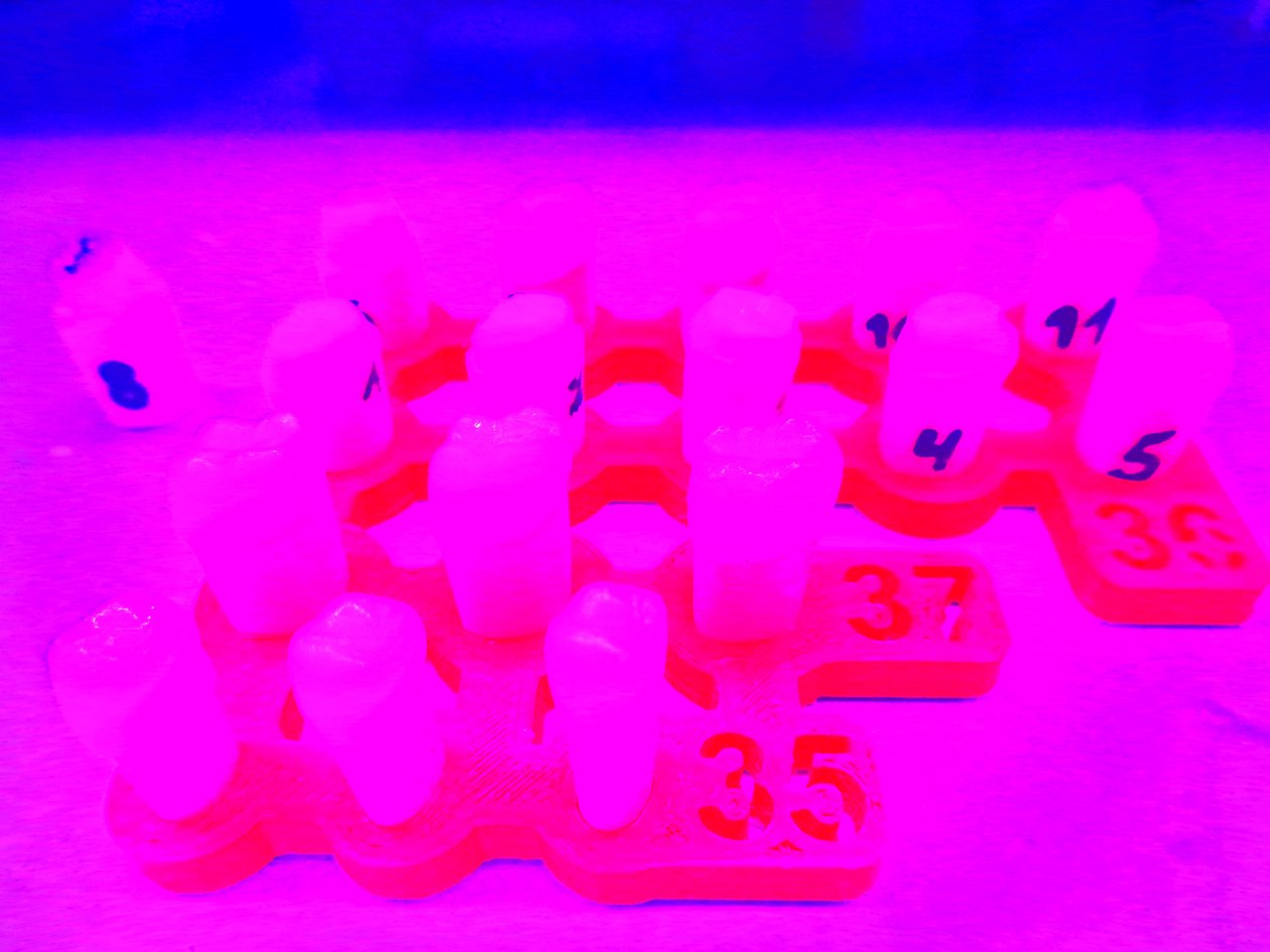 Neon tenner av Martina Konitzky