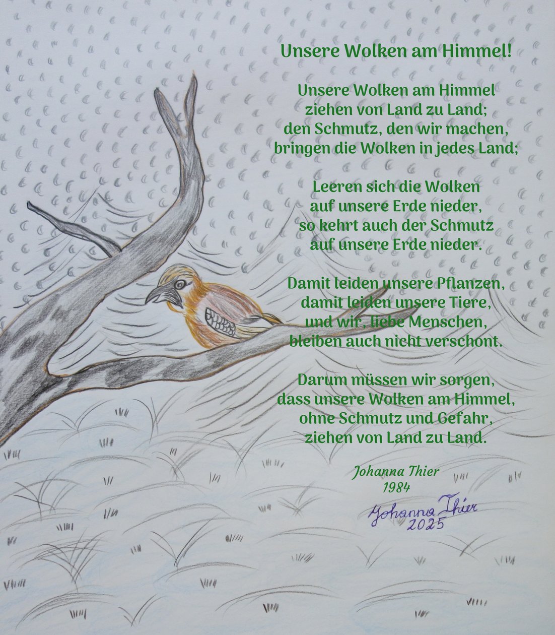  av Johanna Thier