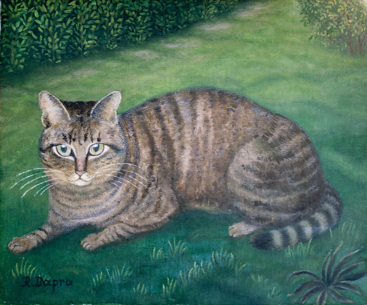 Katten Julia av Regine Dapra
