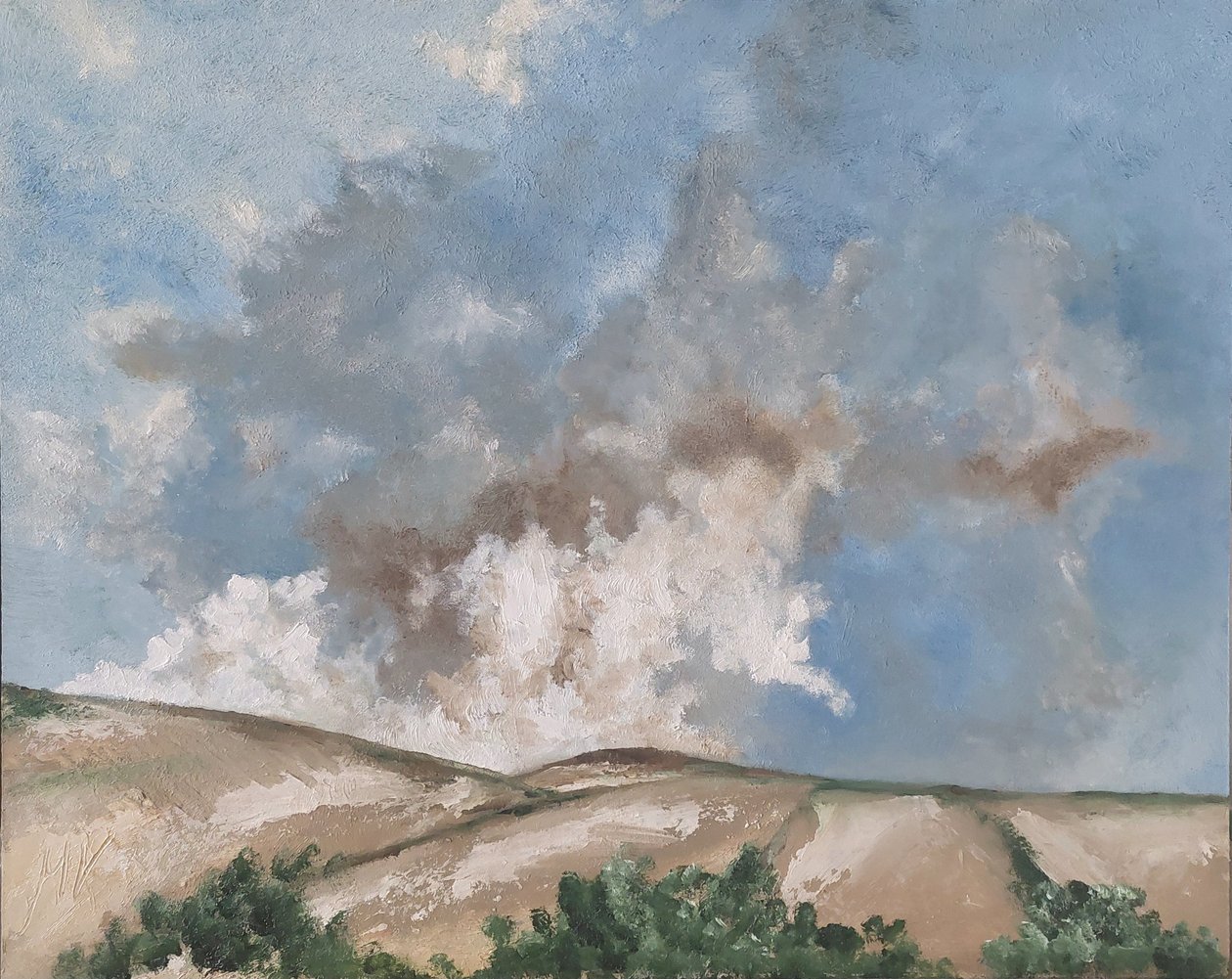 Brune skyer  av M. Vet