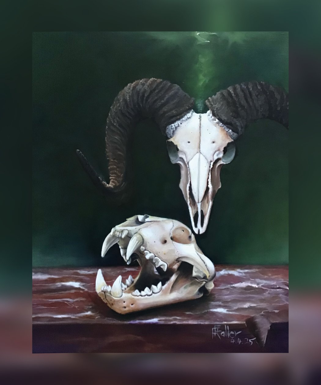 Memento mori (Studie av dyreskaller) av Faller Rüdiger - Tician