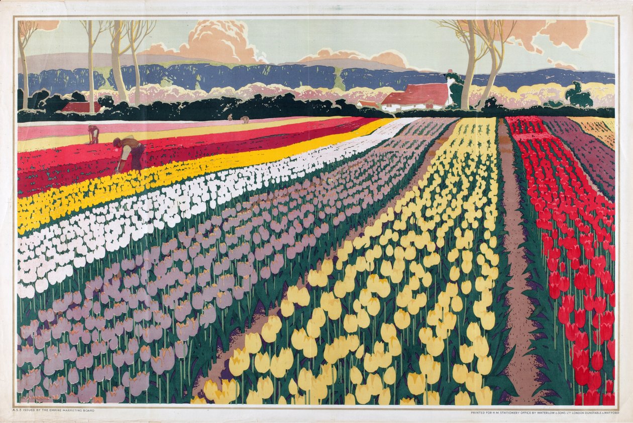 Uten tittel, fra serien 'Home Bulbs for Home Gardens' (farge litho) av A.A. Moores