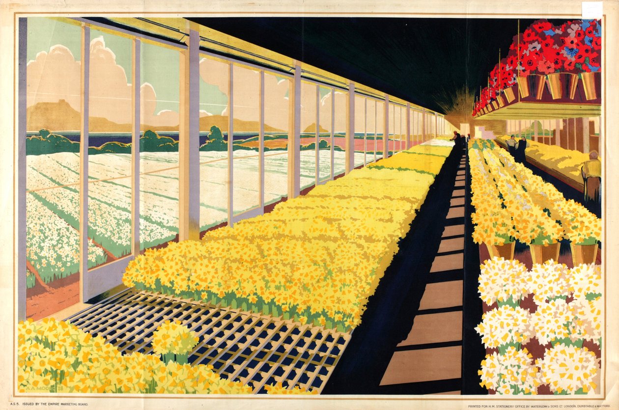 Uten tittel, fra serien 'Home Bulbs for Home Gardens' (farge litho) av A.A. Moores