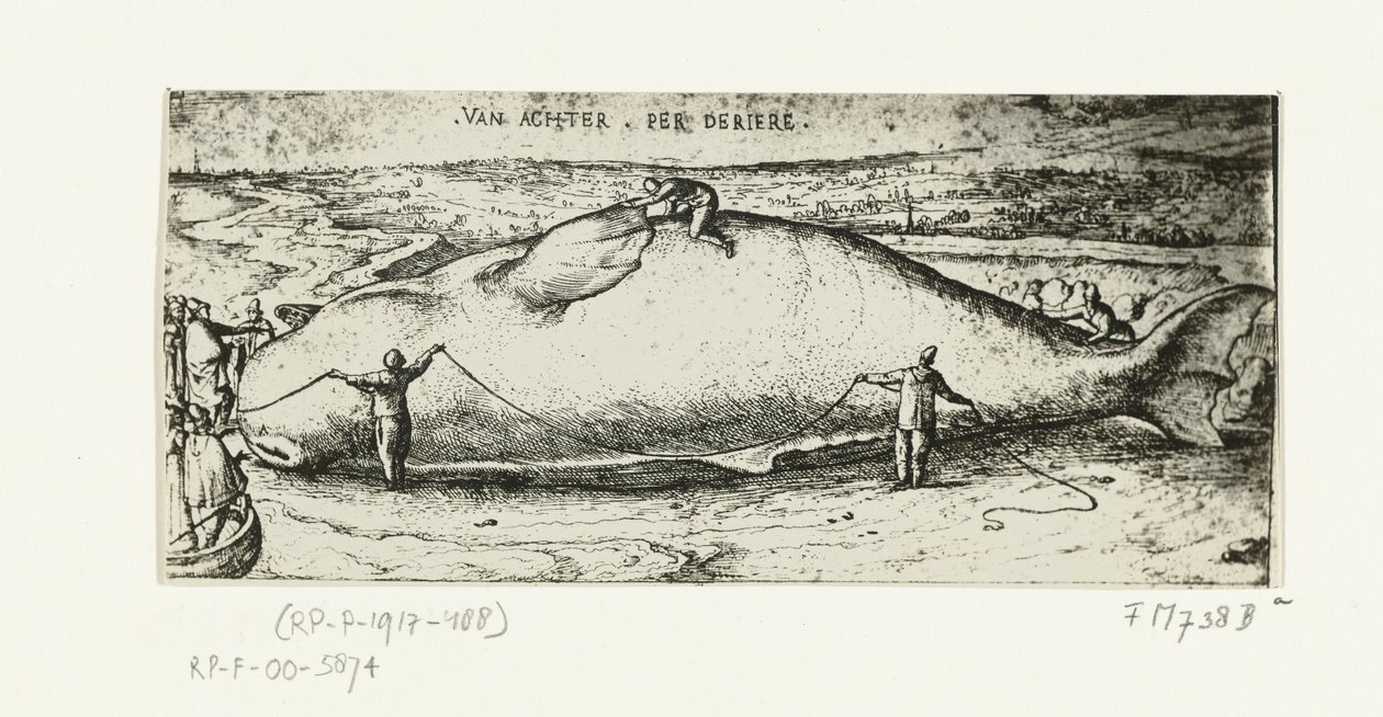 Utskrift av den oppvaskede hvalen nær Antwerpen, 2. juli 1577 av A.B. van Deinse