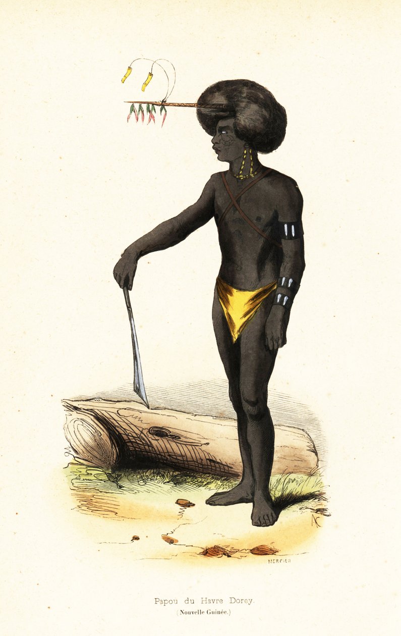Papuansk mann fra Dory Harbour, Vest-Papua av AC AC