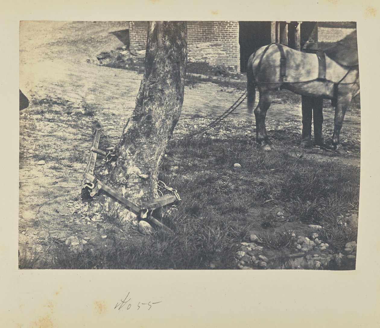  av A.J. Russell